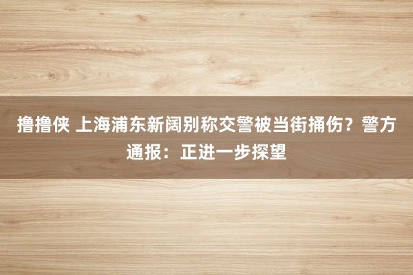 撸撸侠 上海浦东新阔别称交警被当街捅伤？警方通报：正进一步探望