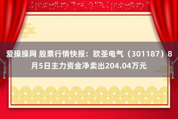 爱操操网 股票行情快报：欧圣电气（301187）8月5日主力资金净卖出204.04万元