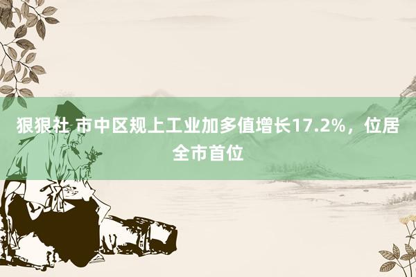 狠狠社 市中区规上工业加多值增长17.2%，位居全市首位