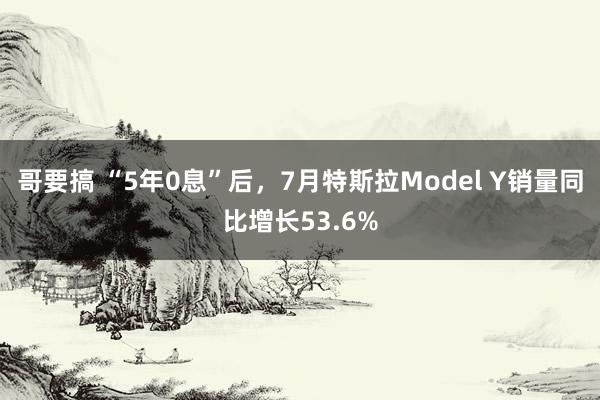 哥要搞 “5年0息”后，7月特斯拉Model Y销量同比增长53.6%