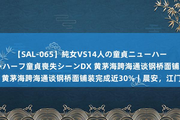 【SAL-065】純女VS14人の童貞ニューハーフ 二度と見れないニューハーフ童貞喪失シーンDX 黄茅海跨海通谈钢桥面铺装完成近30%丨晨安，江门