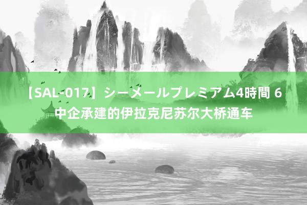 【SAL-017】シーメールプレミアム4時間 6 中企承建的伊拉克尼苏尔大桥通车