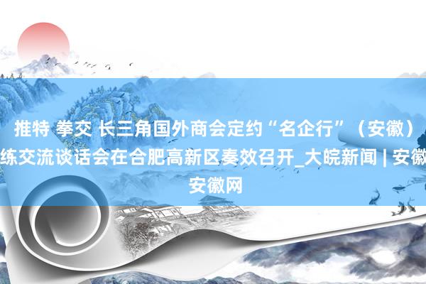 推特 拳交 长三角国外商会定约“名企行”（安徽）磨练交流谈话会在合肥高新区奏效召开_大皖新闻 | 安徽网