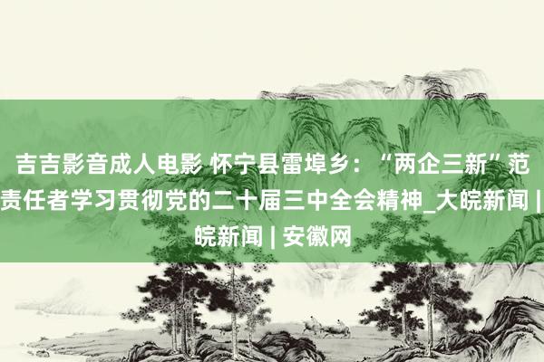 吉吉影音成人电影 怀宁县雷埠乡：“两企三新”范围党建责任者学习贯彻党的二十届三中全会精神_大皖新闻 | 安徽网