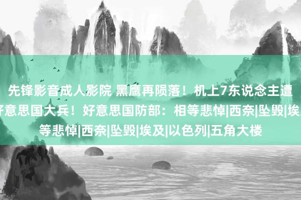 先锋影音成人影院 黑鹰再陨落！机上7东说念主遭难，5东说念主是好意思国大兵！好意思国防部：相等悲悼|西奈|坠毁|埃及|以色列|五角大楼