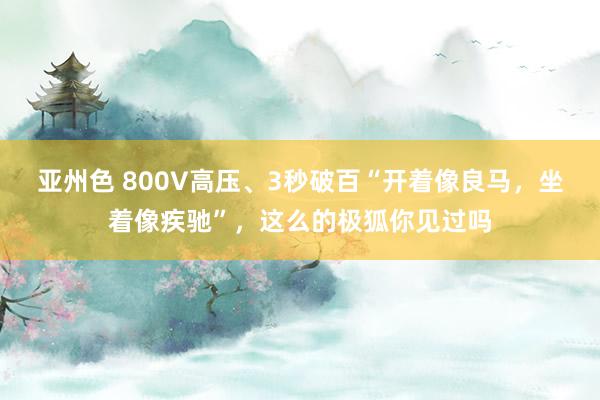 亚州色 800V高压、3秒破百“开着像良马，坐着像疾驰”，这么的极狐你见过吗