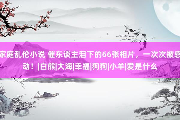 家庭乱伦小说 催东谈主泪下的66张相片，一次次被感动！|白熊|大海|幸福|狗狗|小羊|爱是什么