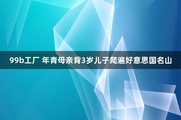 99b工厂 年青母亲背3岁儿子爬遍好意思国名山