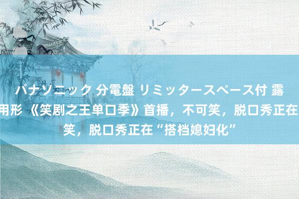 パナソニック 分電盤 リミッタースペース付 露出・半埋込両用形 《笑剧之王单口季》首播，不可笑，脱口秀正在“搭档媳妇化”