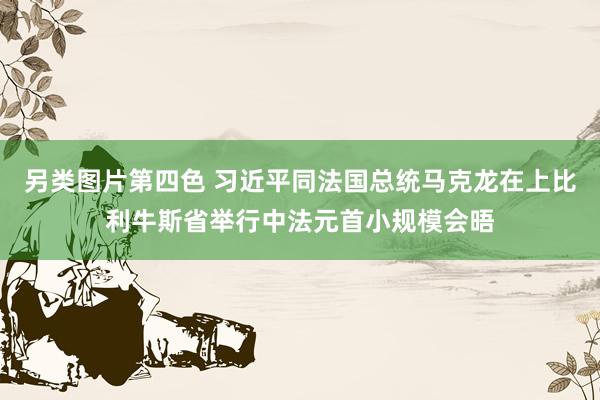 另类图片第四色 习近平同法国总统马克龙在上比利牛斯省举行中法元首小规模会晤